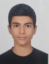 رضا عباسی