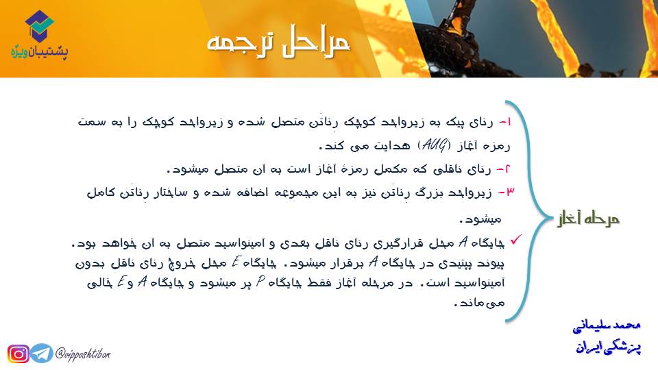 خلاصه نموداری گفتار1و2 فصل دوم زیست دوازدهم(آزمون 3 آبان 98) - تصویر 9