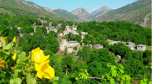 دیدنیهای روستای مزرعه(سردشت) از نگاه مهندسی برق دانشگاه تبریز - تصویر 2