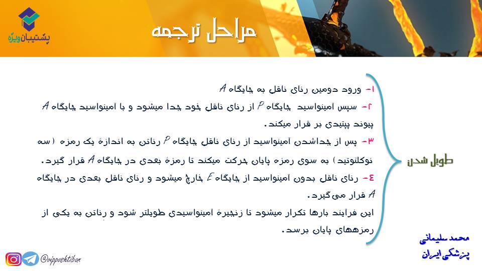خلاصه نموداری گفتار1و2 فصل دوم زیست دوازدهم(آزمون 3 آبان 98) - تصویر 10