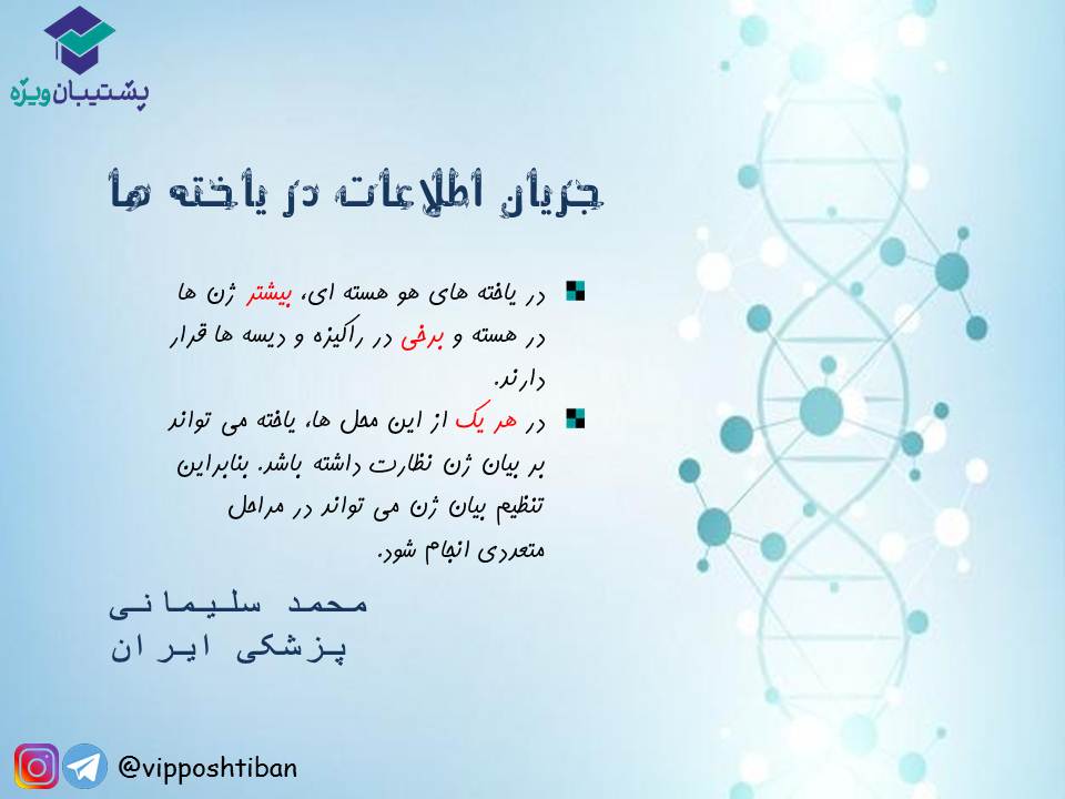 قیدنامه جریان اطلاعات در یاخته‌ها زیست دوازدهم ( 17 آبان 98 ) - تصویر 6