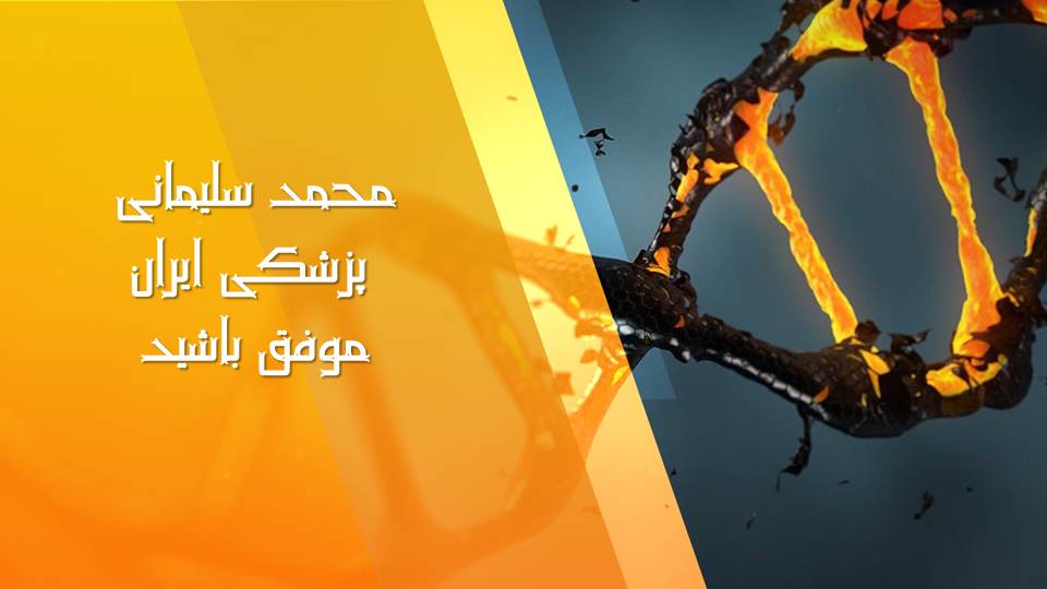 خلاصه نموداری گفتار1و2 فصل دوم زیست دوازدهم(آزمون 3 آبان 98) - تصویر 13