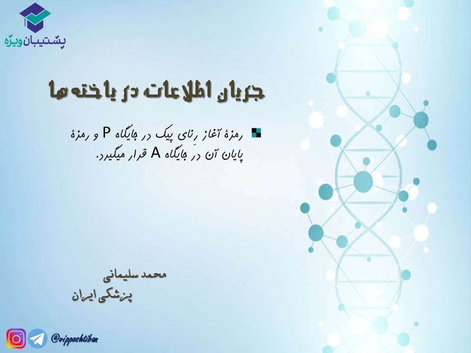 نکات مبحث جریان اطلاعات در یاختهها زیست دوازدهم( 3آبان98 ) - تصویر 14