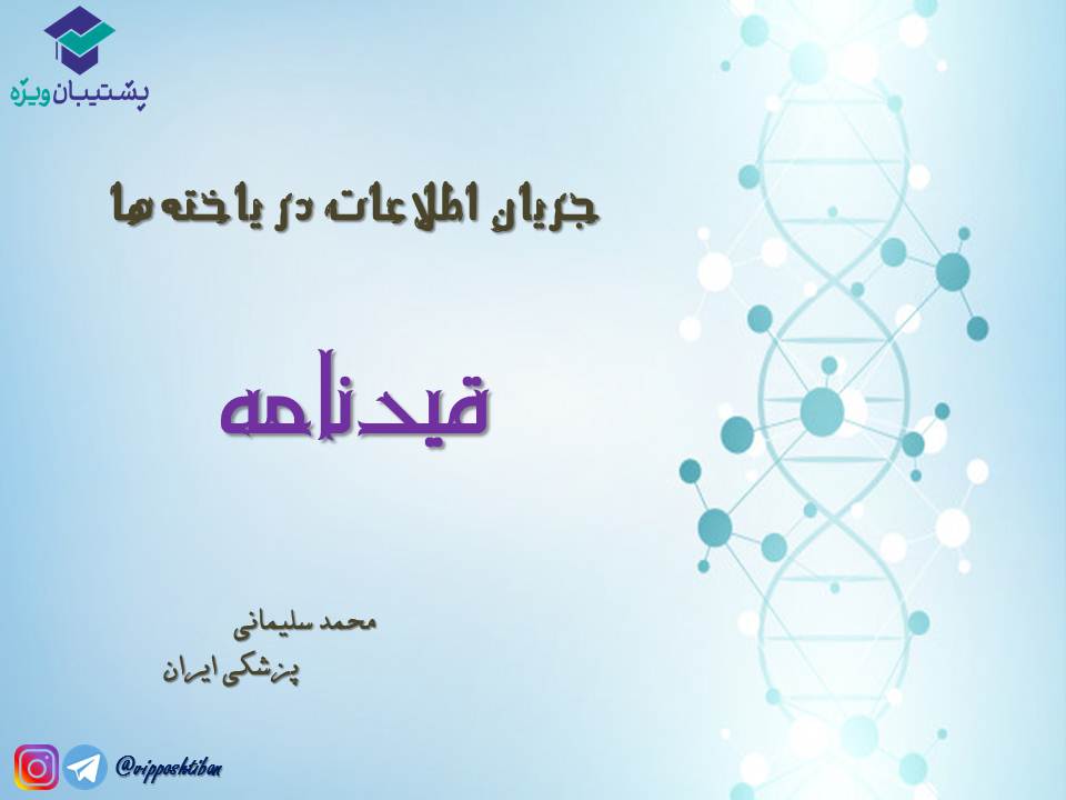 قیدنامه جریان اطلاعات در یاختهها زیست دوازدهم ( 3آبان98 ) - تصویر 1
