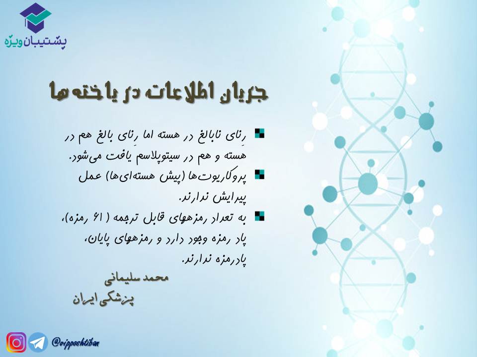 نکات مبحث جریان اطلاعات در یاختهها زیست دوازدهم( 3آبان98 ) - تصویر 10