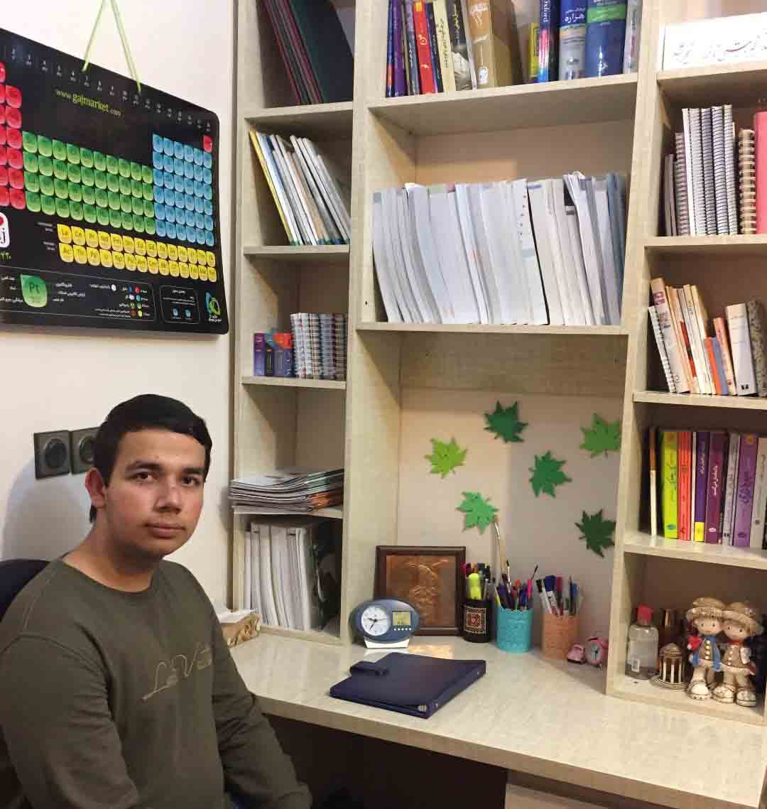 علی نوروزی، دهم ریاضی از اردبیل