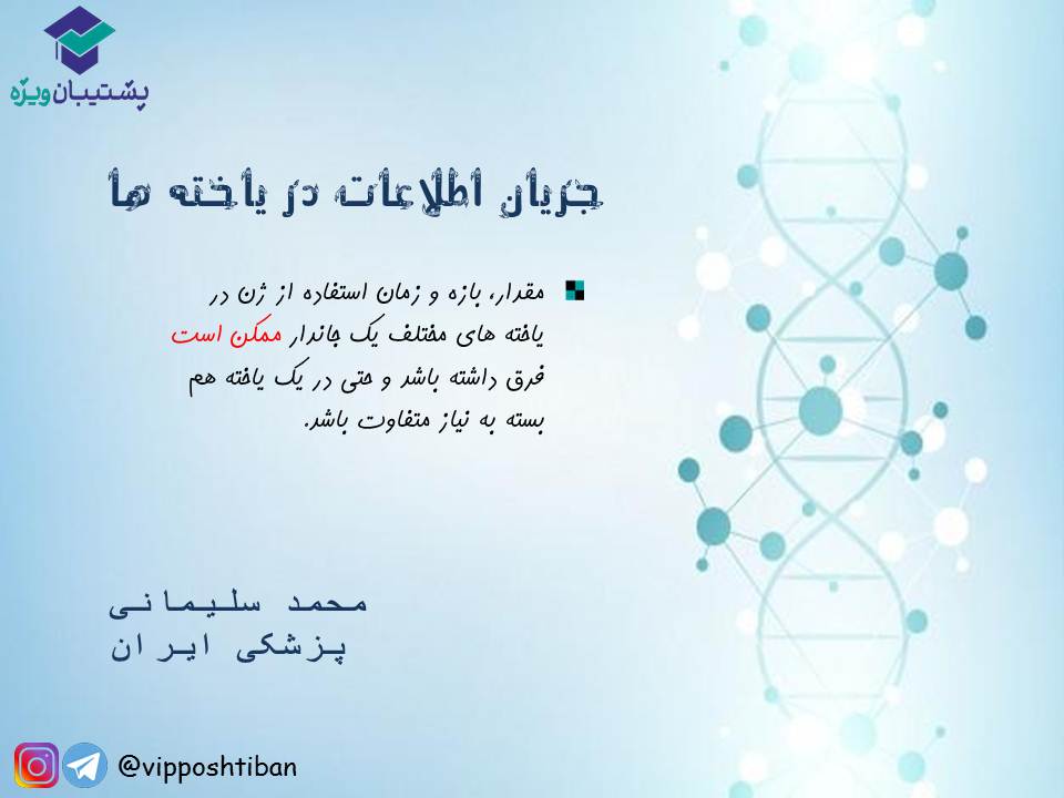 قیدنامه جریان اطلاعات در یاخته‌ها زیست دوازدهم ( 17 آبان 98 ) - تصویر 3