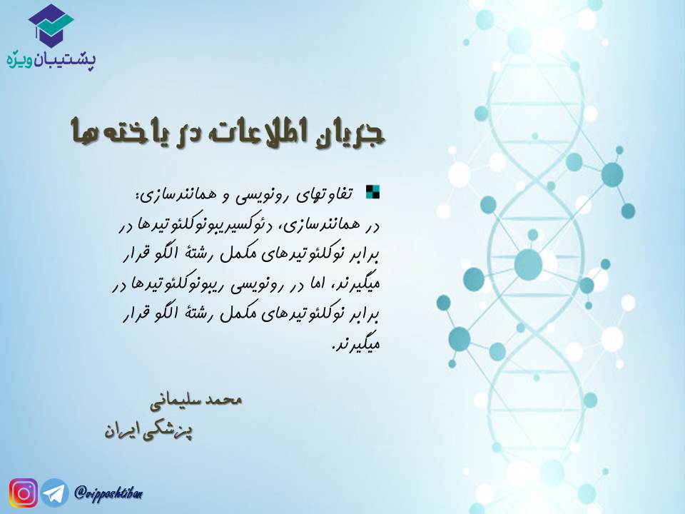 نکات مبحث جریان اطلاعات در یاختهها زیست دوازدهم( 3آبان98 ) - تصویر 2