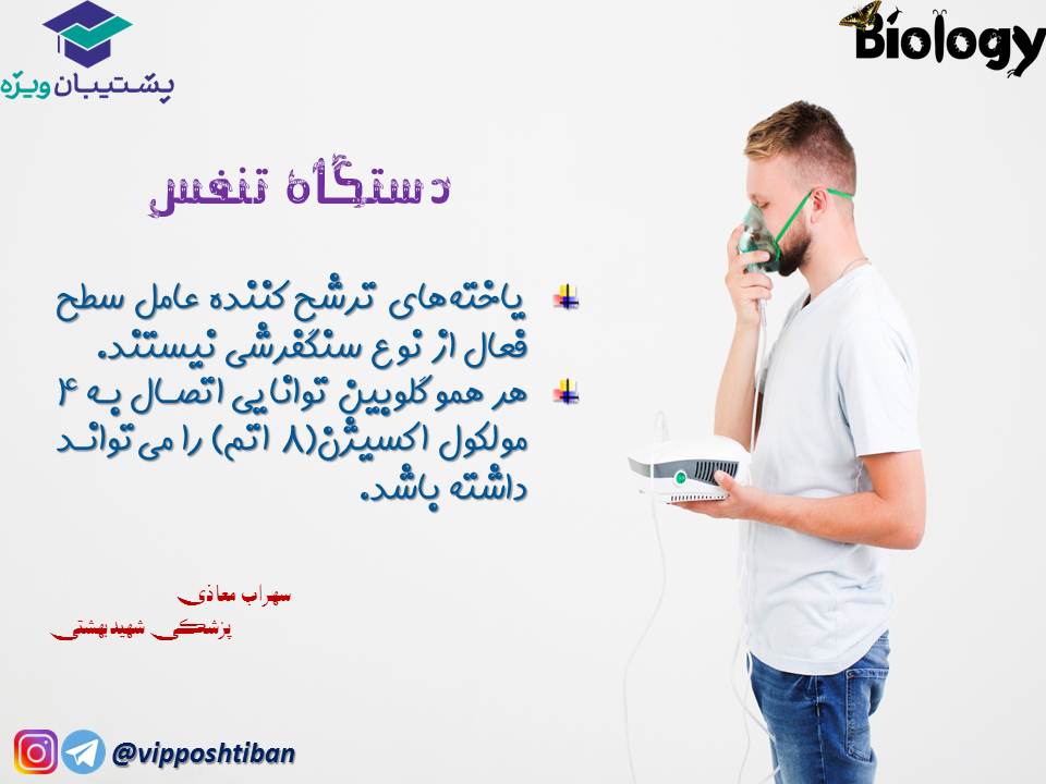 نکات فصل سوم زیست دهم (دستگاه تنفس) جلسه 1 (آزمون 3 آبان 98) - تصویر 6