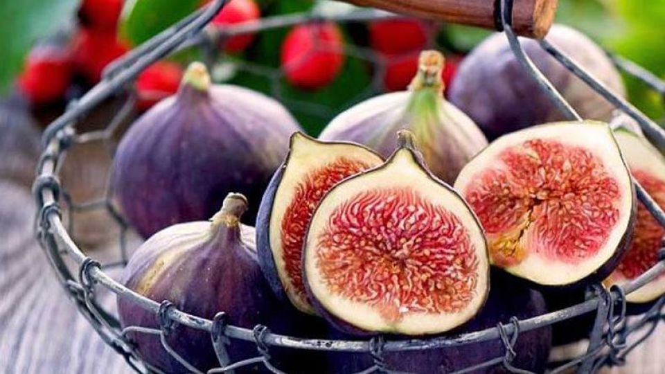 روش‌هایی ساده برای تقویت حافظه دانش آموزان