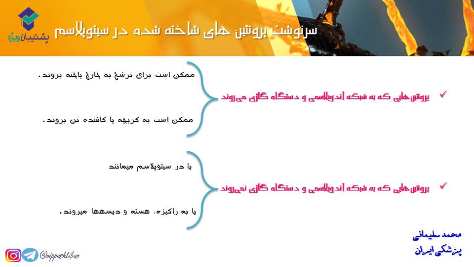 خلاصه نموداری گفتار1و2 فصل دوم زیست دوازدهم(آزمون 3 آبان 98) - تصویر 12