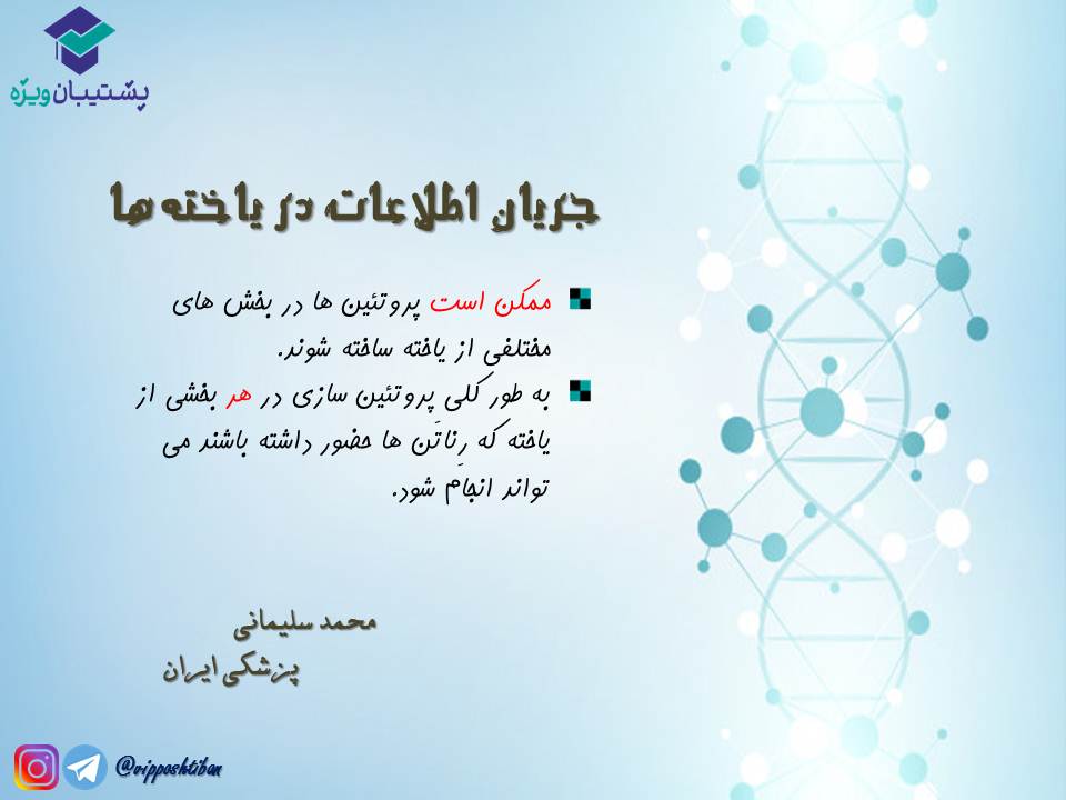 قیدنامه جریان اطلاعات در یاختهها زیست دوازدهم ( 3آبان98 ) - تصویر 7