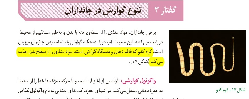 بررسی سوالات پرچالش آزمون 15آذر در درس زیست‌شناسی - تصویر 1