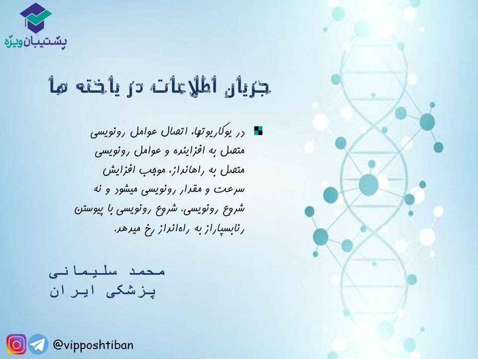 نکات جریان اطلاعات در یاخته‌ها زیست دوازدهم(17 آبان 98) - تصویر 10