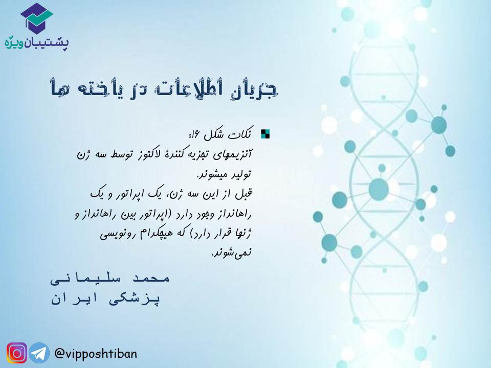 نکات جریان اطلاعات در یاخته‌ها زیست دوازدهم(17 آبان 98) - تصویر 3
