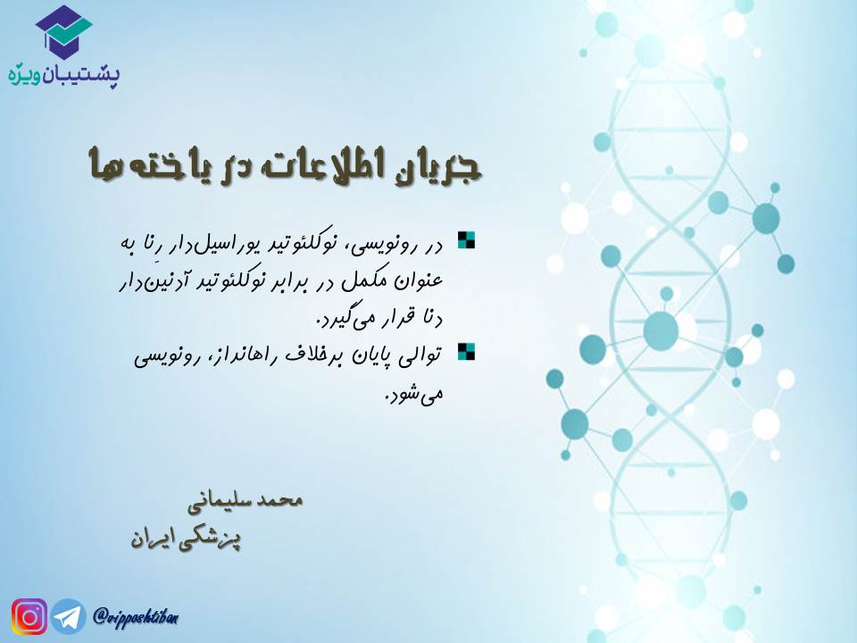 نکات مبحث جریان اطلاعات در یاختهها زیست دوازدهم( 3آبان98 ) - تصویر 6
