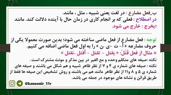 اینستاگرام پایه خود را دنبال کنید - تصویر 13