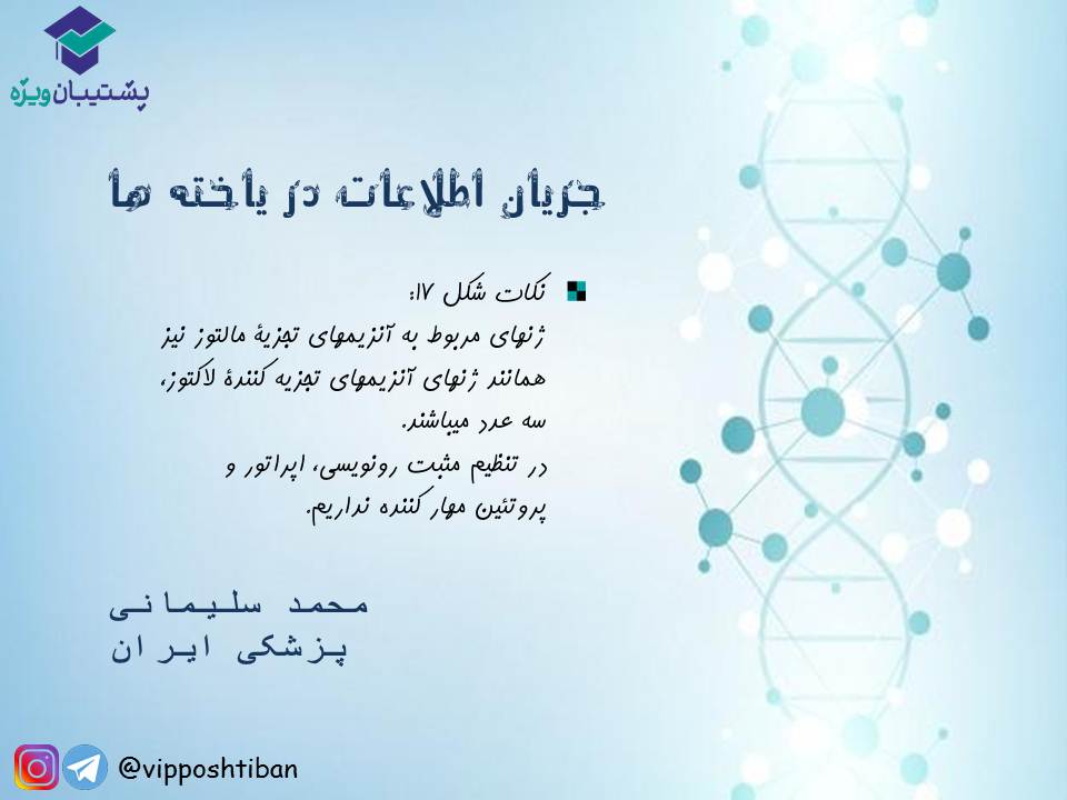 نکات جریان اطلاعات در یاخته‌ها زیست دوازدهم(17 آبان 98) - تصویر 7