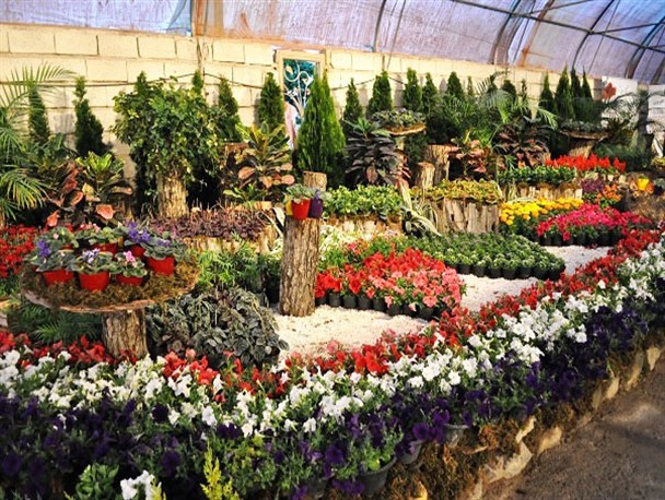 دیدنی‌های روستای گلزار پاکدشت از نظر دانشجوی پزشکی بورسیه - تصویر 1