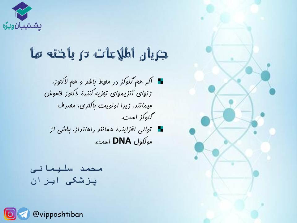 نکات جریان اطلاعات در یاخته‌ها زیست دوازدهم(17 آبان 98) - تصویر 2
