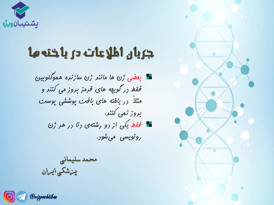 قیدنامه جریان اطلاعات در یاختهها زیست دوازدهم ( 3آبان98 ) - تصویر 2