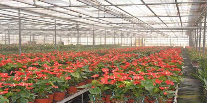 دیدنی‌های روستای گلزار پاکدشت از نظر دانشجوی پزشکی بورسیه - تصویر 5