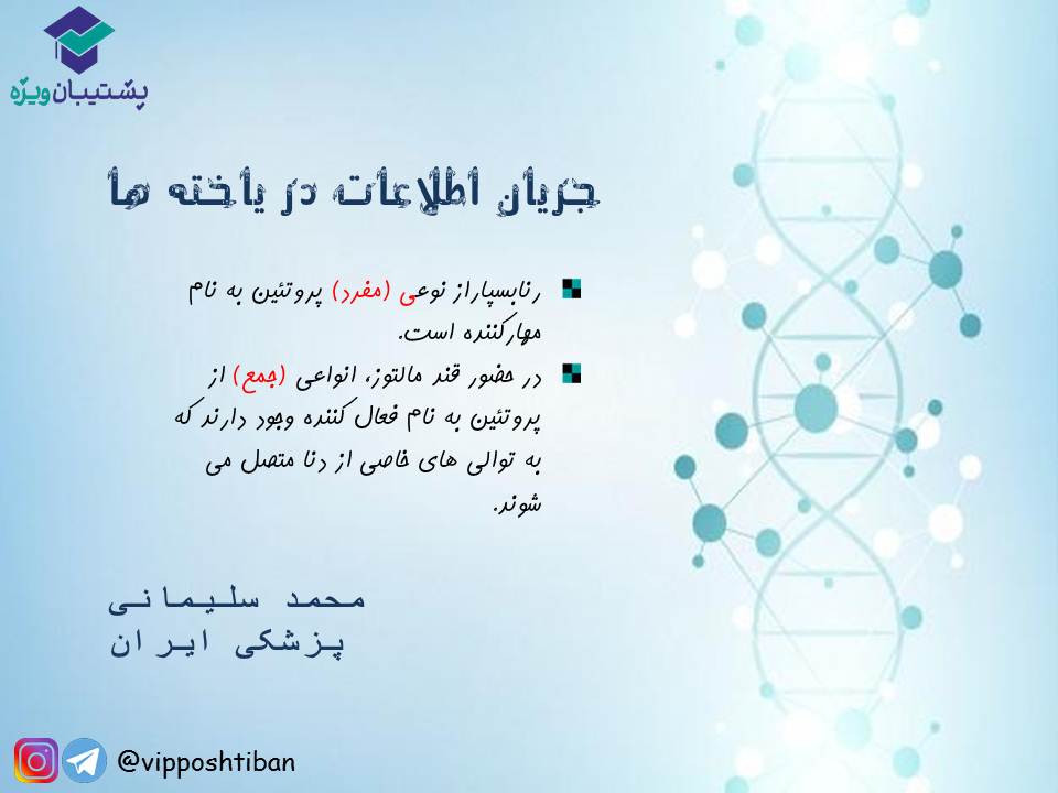 قیدنامه جریان اطلاعات در یاخته‌ها زیست دوازدهم ( 17 آبان 98 ) - تصویر 5