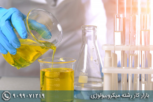 بازار کار رشته میکروبیولوژی - تصویر 1