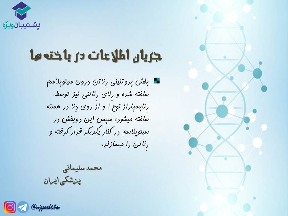 نکات مبحث جریان اطلاعات در یاختهها زیست دوازدهم( 3آبان98 ) - تصویر 12