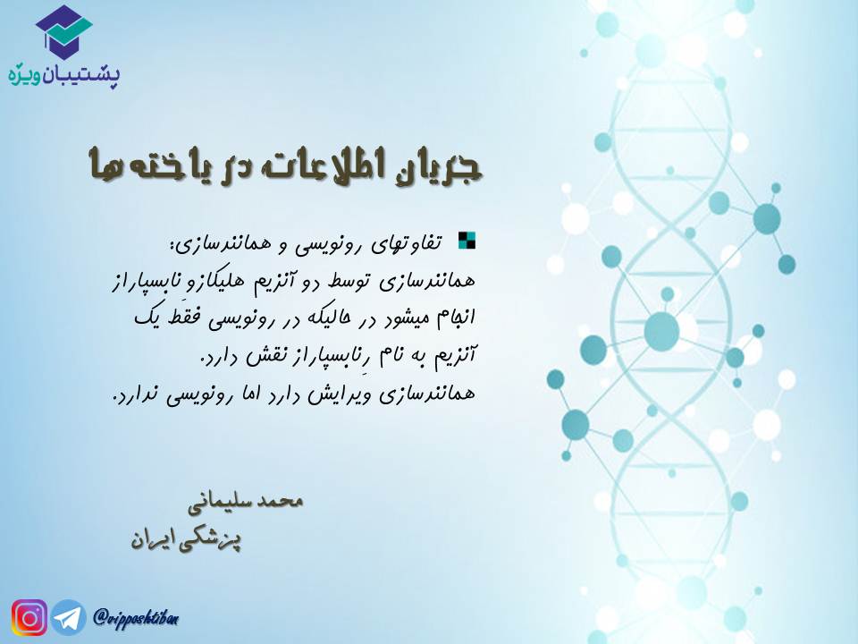 نکات مبحث جریان اطلاعات در یاختهها زیست دوازدهم( 3آبان98 ) - تصویر 3