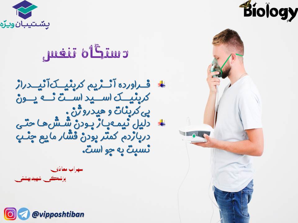 نکات فصل سوم زیست دهم (دستگاه تنفس) جلسه 1 (آزمون 3 آبان 98) - تصویر 7