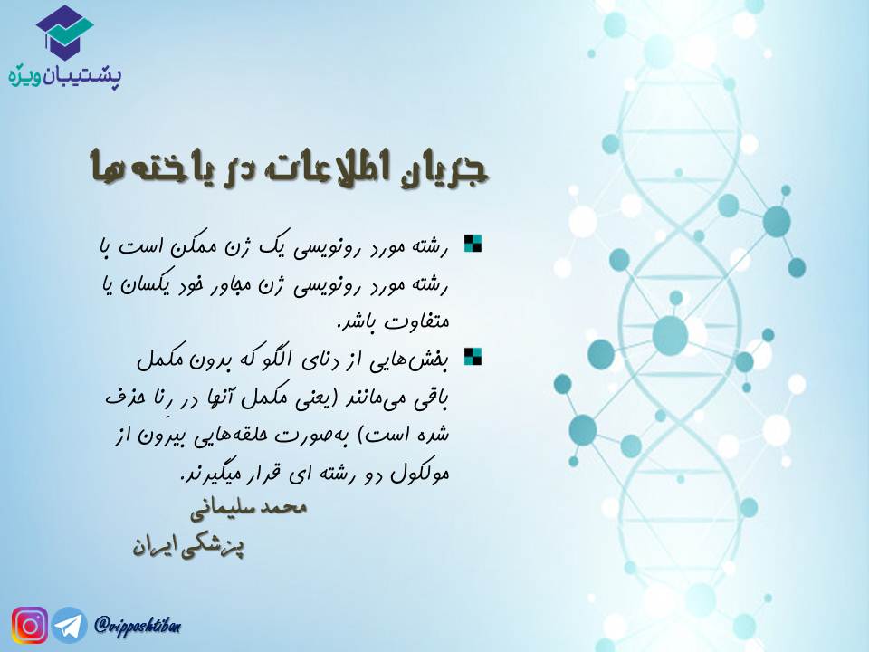 نکات مبحث جریان اطلاعات در یاختهها زیست دوازدهم( 3آبان98 ) - تصویر 7