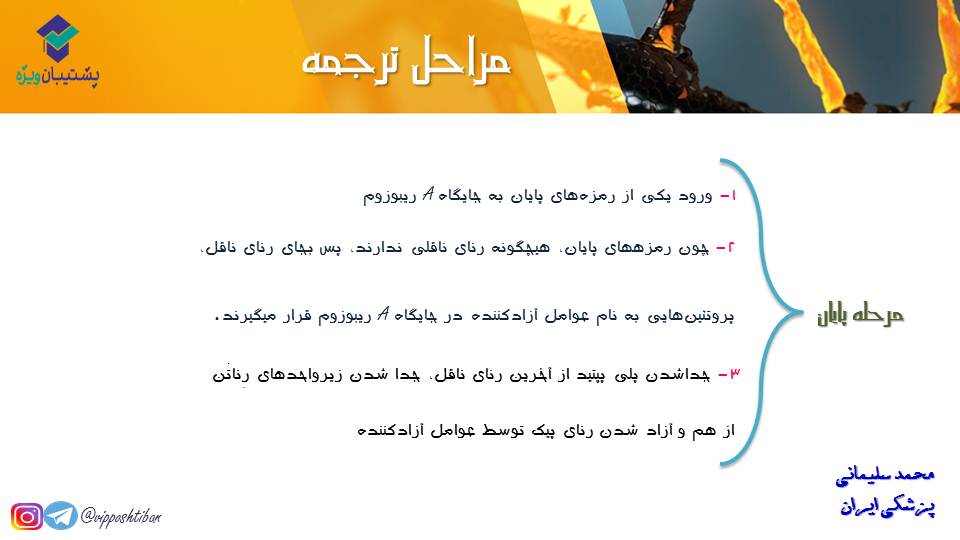 خلاصه نموداری گفتار1و2 فصل دوم زیست دوازدهم(آزمون 3 آبان 98) - تصویر 11