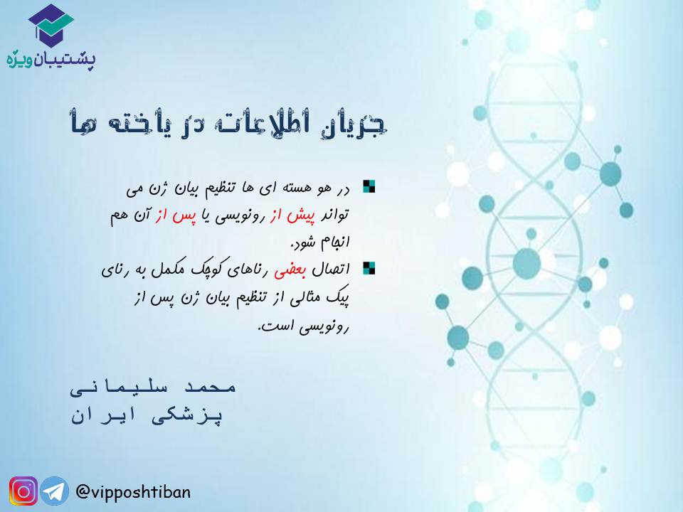 قیدنامه جریان اطلاعات در یاخته‌ها زیست دوازدهم ( 17 آبان 98 ) - تصویر 9