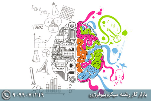 بازار کار رشته روانشناسی - تصویر 1