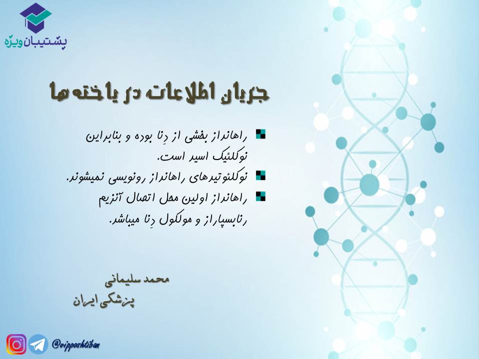 نکات مبحث جریان اطلاعات در یاختهها زیست دوازدهم( 3آبان98 ) - تصویر 4