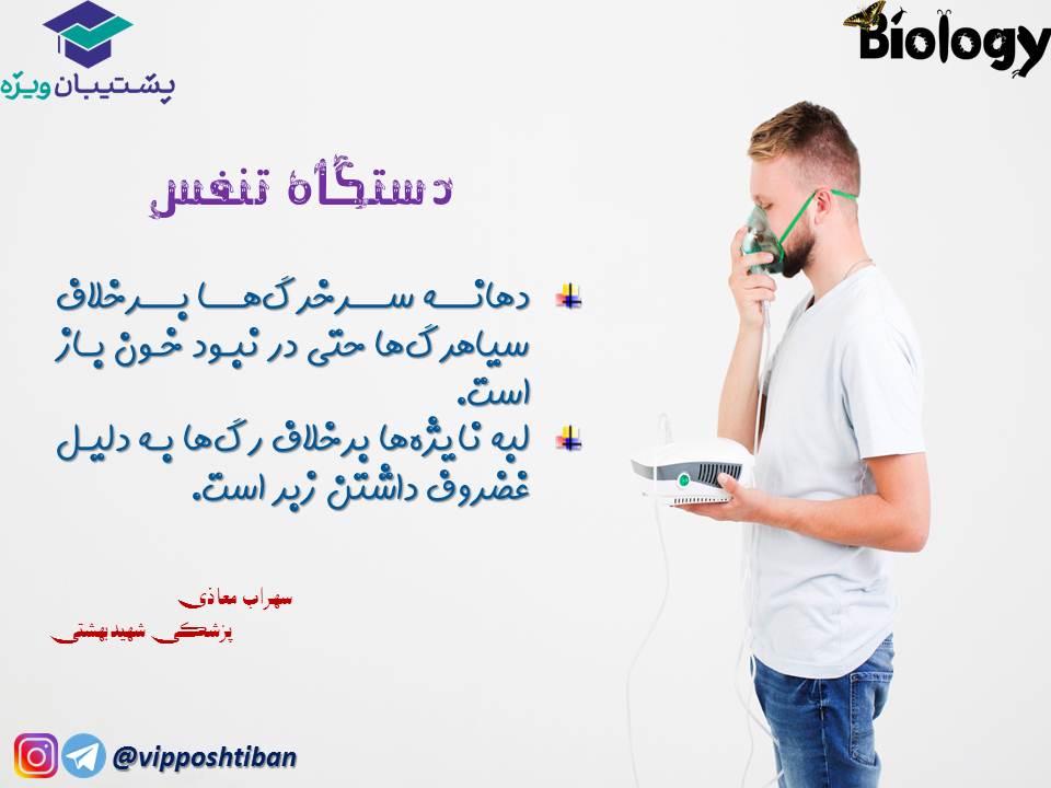 نکات فصل سوم زیست دهم (دستگاه تنفس) جلسه 1 (آزمون 3 آبان 98) - تصویر 9