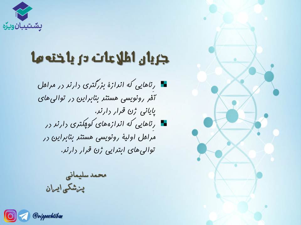 نکات مبحث جریان اطلاعات در یاختهها زیست دوازدهم( 3آبان98 ) - تصویر 9