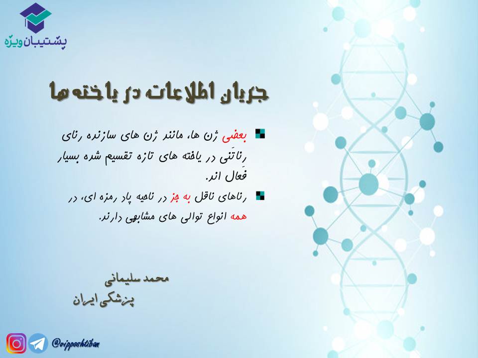 قیدنامه جریان اطلاعات در یاختهها زیست دوازدهم ( 3آبان98 ) - تصویر 5
