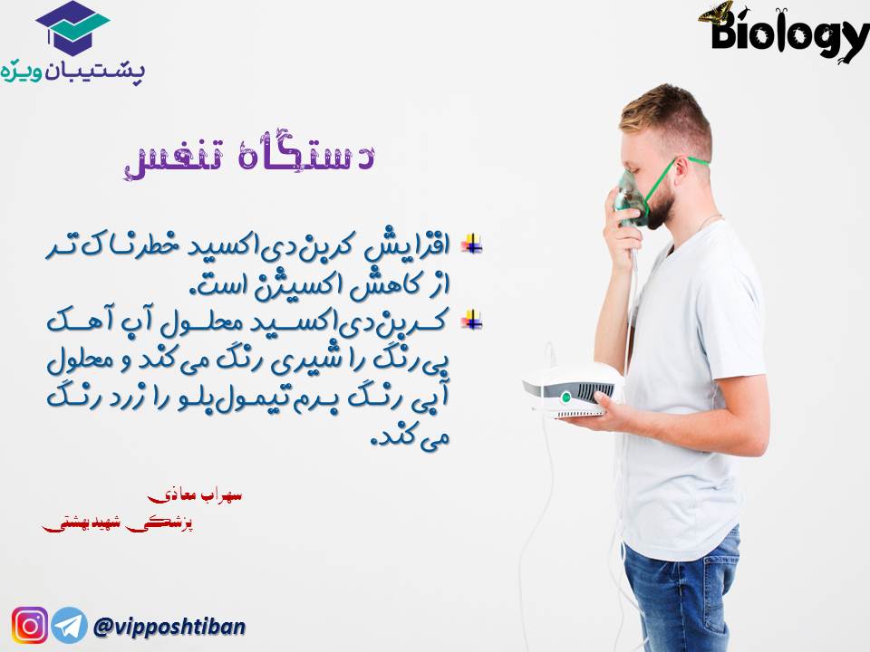 نکات فصل سوم زیست دهم (دستگاه تنفس) جلسه 1 (آزمون 3 آبان 98) - تصویر 2
