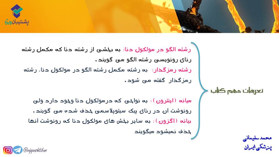 خلاصه نموداری گفتار1و2 فصل دوم زیست دوازدهم(آزمون 3 آبان 98) - تصویر 4