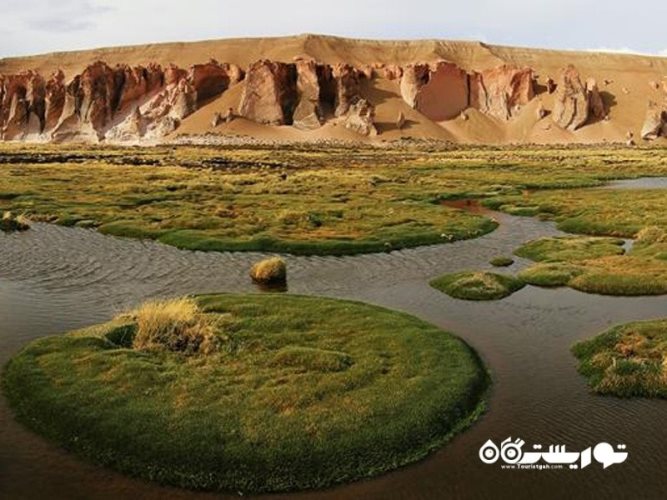 چهل مورد از عجایب دنیا که تصور نمی‌کردید وجود خارجی دارند - تصویر 9