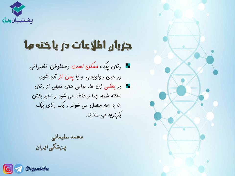 قیدنامه جریان اطلاعات در یاختهها زیست دوازدهم ( 3آبان98 ) - تصویر 4