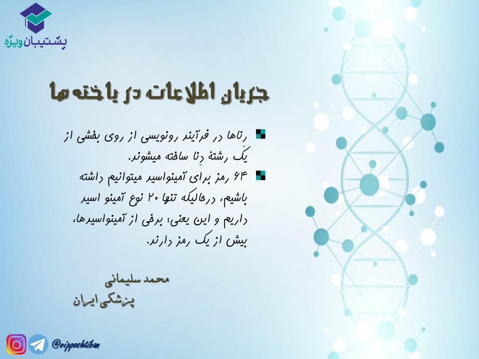 نکات مبحث جریان اطلاعات در یاختهها زیست دوازدهم( 3آبان98 ) - تصویر 1