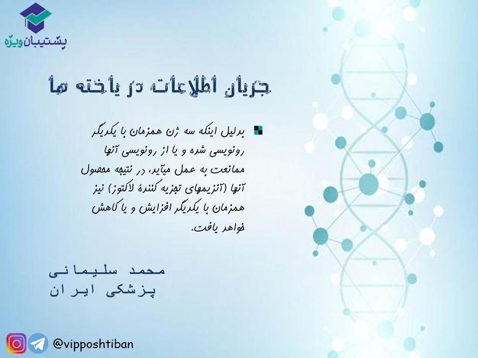 نکات جریان اطلاعات در یاخته‌ها زیست دوازدهم(17 آبان 98) - تصویر 5