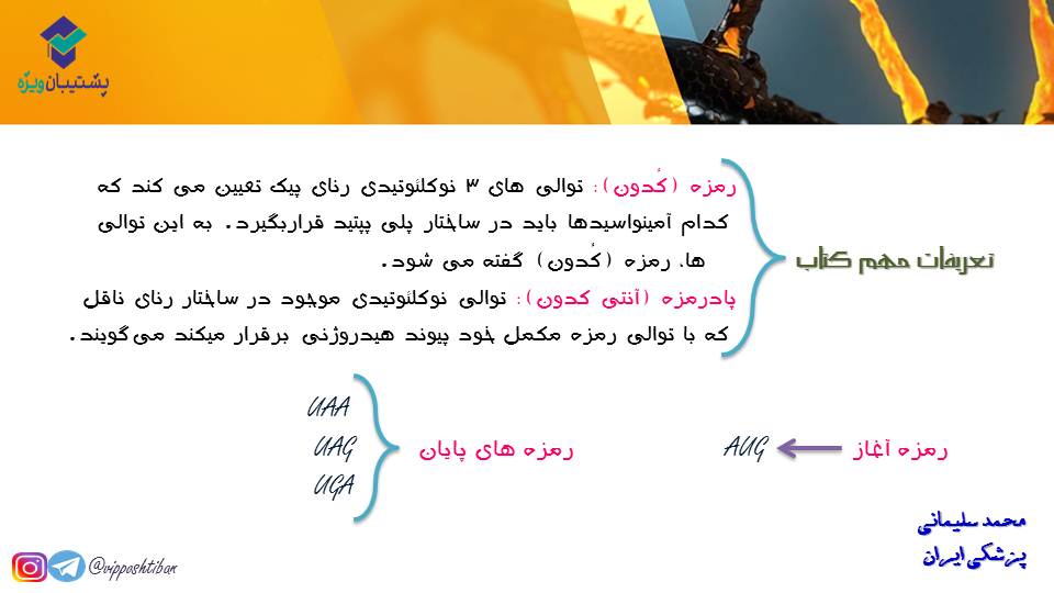 خلاصه نموداری گفتار1و2 فصل دوم زیست دوازدهم(آزمون 3 آبان 98) - تصویر 6