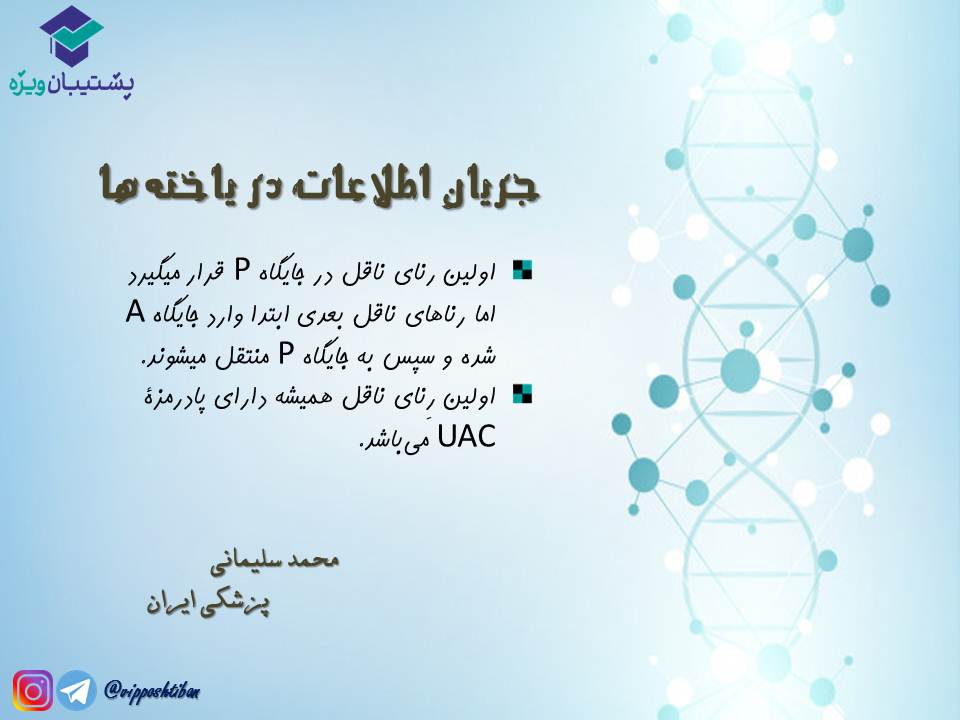 نکات مبحث جریان اطلاعات در یاختهها زیست دوازدهم( 3آبان98 ) - تصویر 13