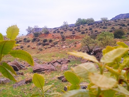 دیدنی‌های روستای دهنو، داراب از نظر دانشجوی دندانپزشکی بورسیه - تصویر 2