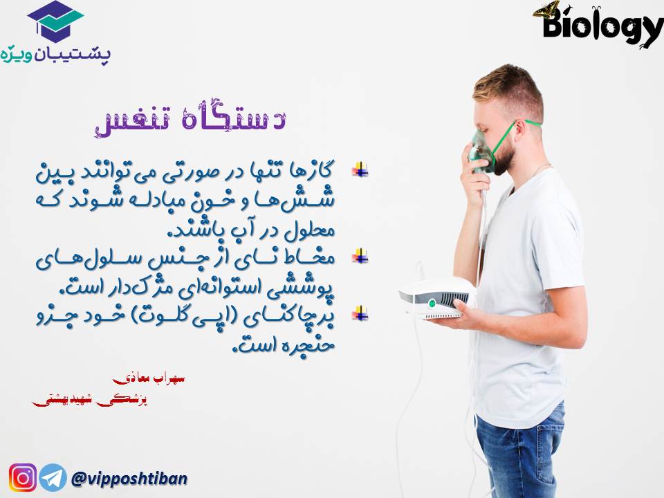 نکات فصل سوم زیست دهم (دستگاه تنفس) جلسه 1 (آزمون 3 آبان 98) - تصویر 3