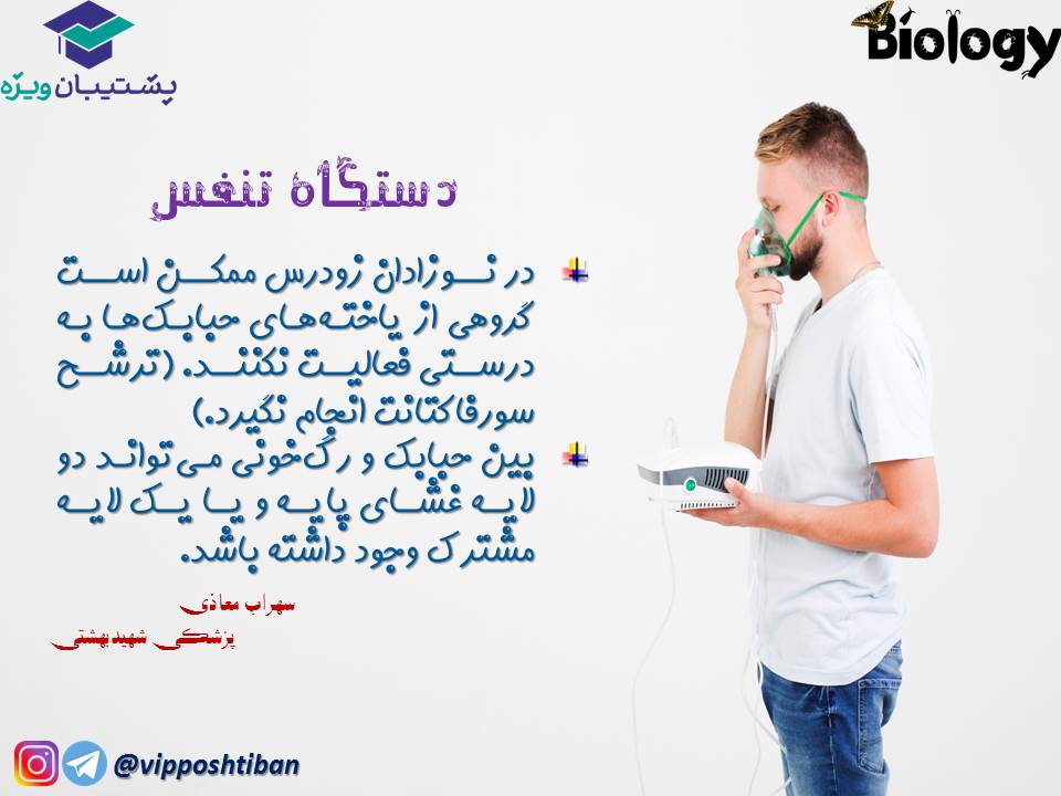نکات فصل سوم زیست دهم (دستگاه تنفس) جلسه 1 (آزمون 3 آبان 98) - تصویر 5
